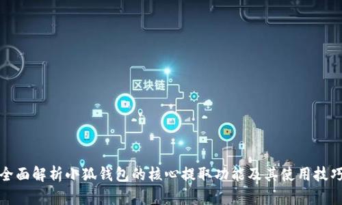 全面解析小狐钱包的核心提取功能及其使用技巧