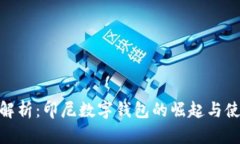 : 全面解析：印尼数字钱包
