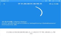 : 数字钱包网站的崛起：安全、便利与未来前景
