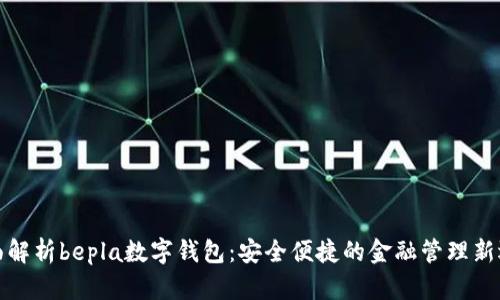全面解析bepla数字钱包：安全便捷的金融管理新选择