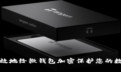 如何有效地给微钱包加密保护您的数字资产