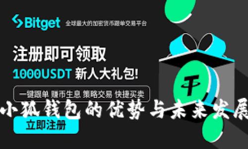 使用小狐钱包的优势与未来发展潜力
