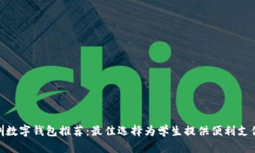: 深圳数字钱包推荐：最佳选择为学生提供便利支付体验