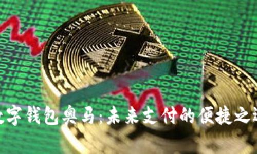 数字钱包奥马：未来支付的便捷之选