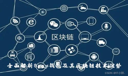 全面解析Bpay钱包及其区块链技术优势