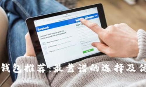海外数字钱包推荐：最靠谱的选择及优缺点分析