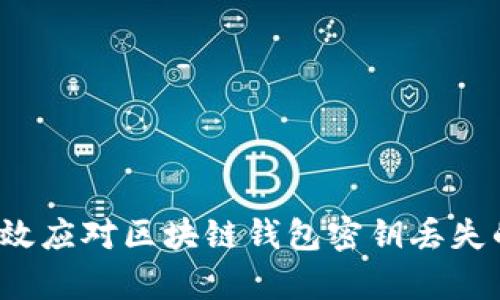 如何有效应对区块链钱包密钥丢失的危机？