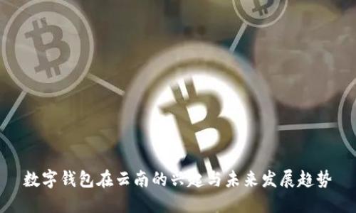 数字钱包在云南的兴起与未来发展趋势