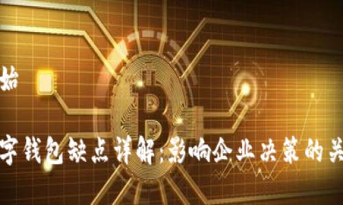 内容开始

对公数字钱包缺点详解：影响企业决策的关键因素