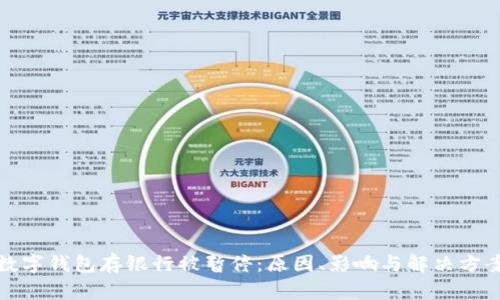 数字钱包存银行被暂停：原因、影响与解决方案