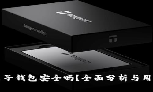 小狐电子钱包安全吗？全面分析与用户指南
