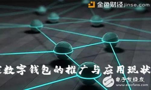 国家数字钱包的推广与应用现状分析
