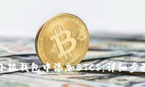 如何在小狐钱包中添加BTCS：详细步骤与技巧
