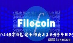 全面解析YSM数字钱包：安