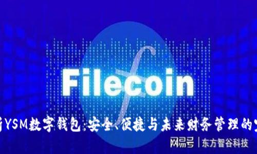 全面解析YSM数字钱包：安全、便捷与未来财务管理的完美结合