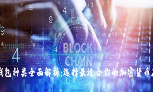 区块链钱包种类全面解析：选择最适合你的加密货币存储方案
