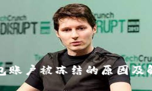 数字钱包账户被冻结的原因及解决方案