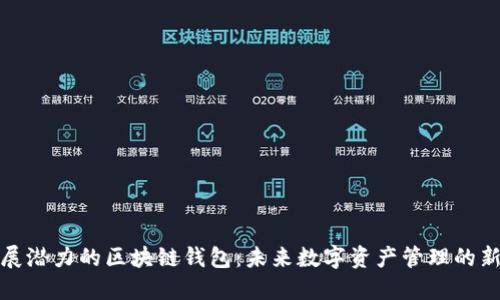 具发展潜力的区块链钱包：未来数字资产管理的新选择