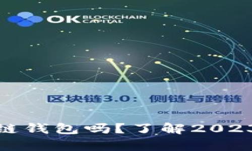 现在还有安全的区块链钱包吗？了解2023年最可靠的钱包选择