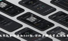 小狐钱包如何添加BSC链：详细步骤与常见问题解