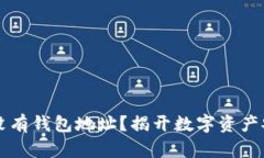 区块链上没有钱包地址？