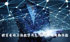 探索爱购上海数字钱包：