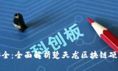 破解安全：全面解析楚天