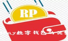 深入解析：BHPay数字钱包的