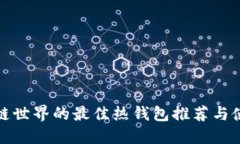 : 区块链世界的最佳热钱包