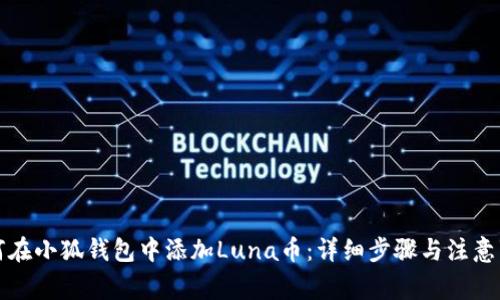 如何在小狐钱包中添加Luna币：详细步骤与注意事项