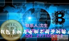 MetaMask 钱包手机与电脑不