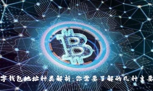 : 数字钱包地址种类解析：你需要了解的几种主要类型
