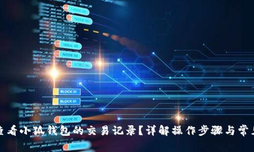 如何查看小狐钱包的交易记录？详解操作步骤与常见问题
