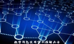 数字钱包使用实例图解大