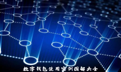 
数字钱包使用实例图解大全
