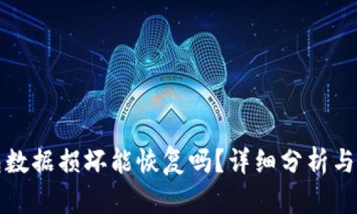 小狐钱包数据损坏能恢复吗？详细分析与解决方案