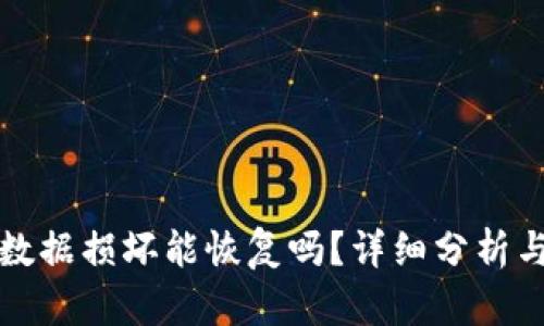 小狐钱包数据损坏能恢复吗？详细分析与解决方案