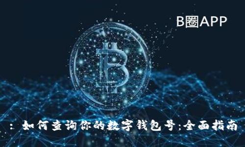 : 如何查询你的数字钱包号：全面指南