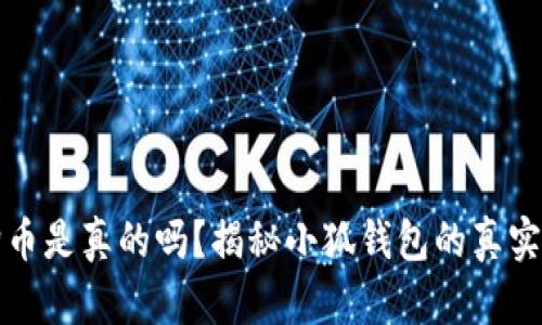 小狐钱包存狗狗币是真的吗？揭秘小狐钱包的真实情况与风险分析