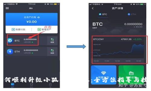 如何顺利升级小狐钱包版本：全方位指导与技巧