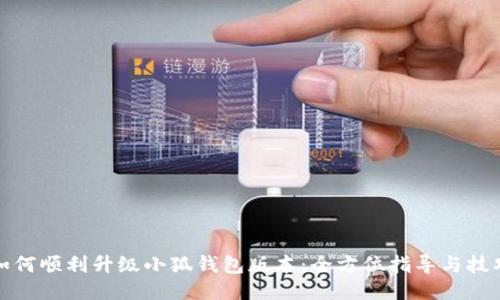 如何顺利升级小狐钱包版本：全方位指导与技巧
