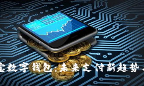 中国支付宝数字钱包：未来支付新趋势与使用指南