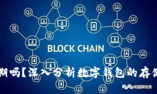 数字钱包能存定期吗？深入分析数字钱包的存储功能与理财潜力
