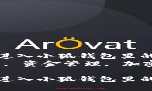 如何快速安全地进入小狐钱包里的资金管理  
关键词：小狐钱包, 资金管理, 加密货币, 钱包安全

如何快速安全地进入小狐钱包里的资金管理