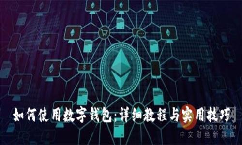 如何使用数字钱包：详细教程与实用技巧