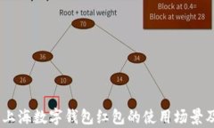 全面解析：上海数字钱包