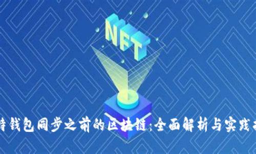 比特钱包同步之前的区块链：全面解析与实践指南