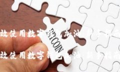 如何高效使用数字钱包加