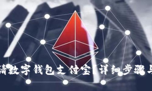 : 如何顺利申请数字钱包支付宝？详细步骤与注意事项指南