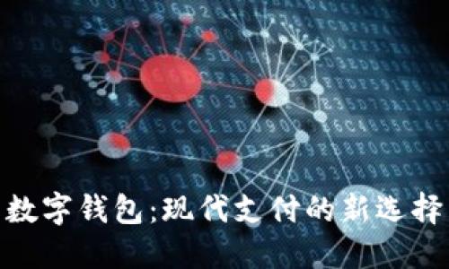 数字钱包：现代支付的新选择
